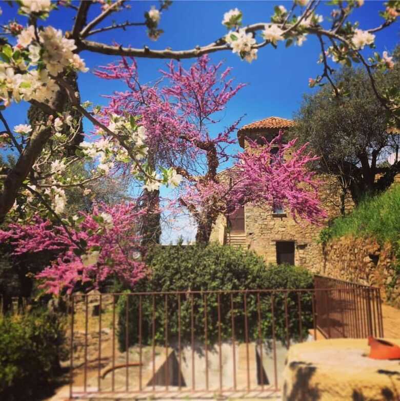 Agroturismo Il Vecchio Casale