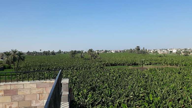 Apartamentos Nile Panorama