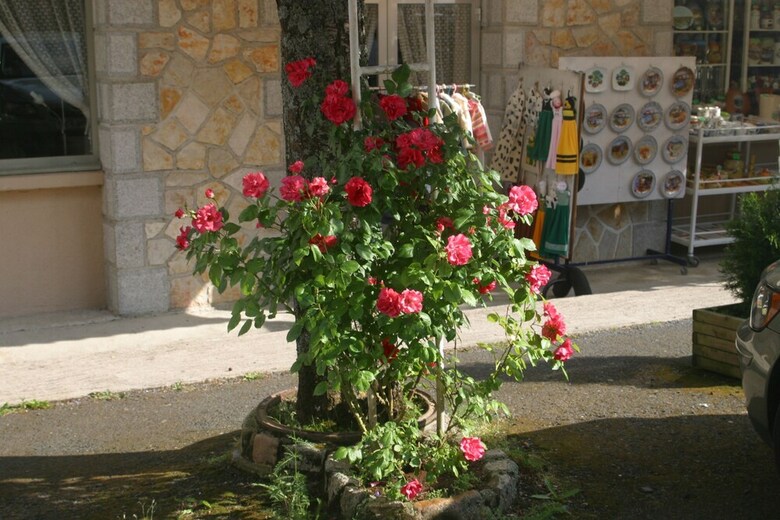 Hotel Garabit H�tel