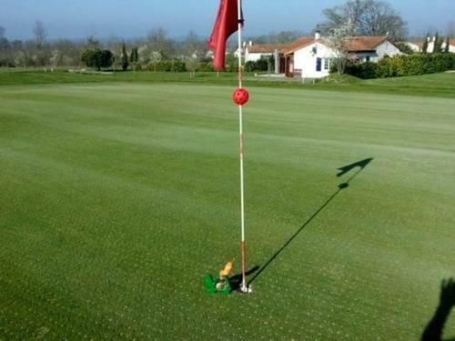 Villa Le Chat De Golf