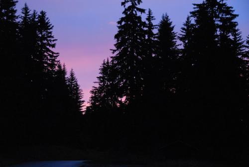 Hotel H�tel Chalet Le Caribou