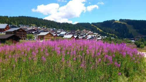 Apartamento Chalets Joguet - Hautlieux