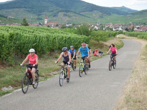 G�te Le Merle 90m2 Pr�s De La Route Des Vins
