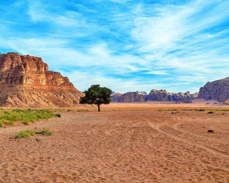 Ali Wadi Rum Moon Camp