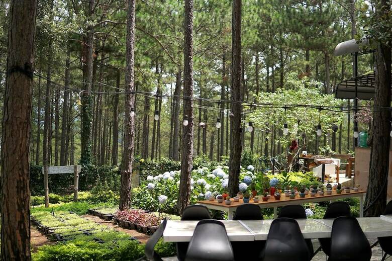 Hotel Romeo Juliet Dalat Resort