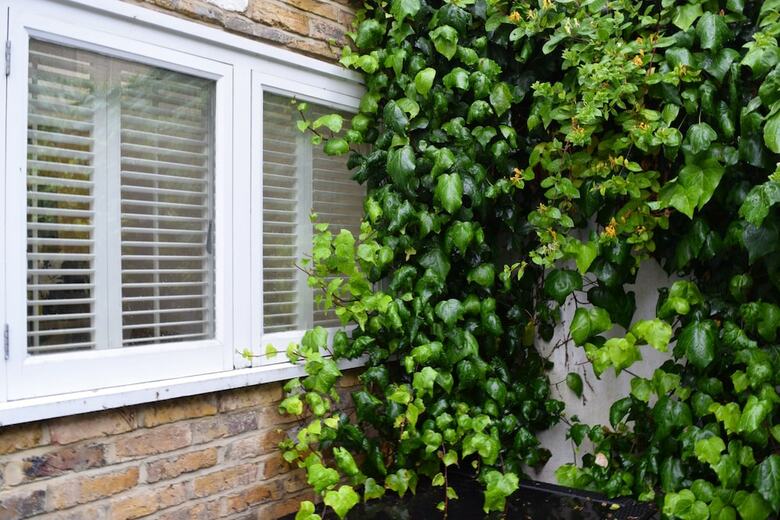 Apartamentos Charming 2 Bedroom Flat With Backyard In Battersea