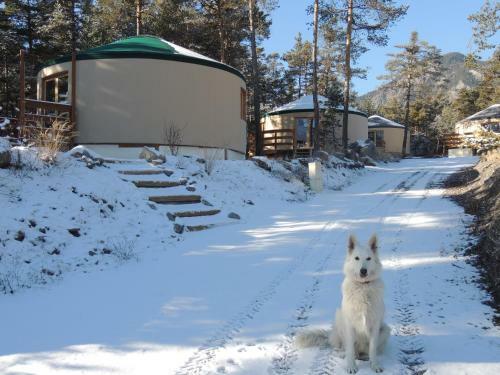Parc R�sidentiel De Loisir : Le Loup Blanc Du Riou