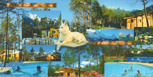 Parc R�sidentiel De Loisir : Le Loup Blanc Du Riou