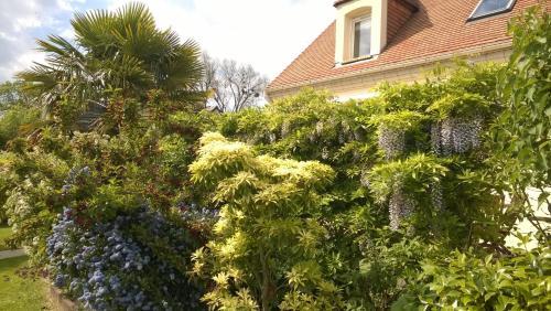 Bed & Breakfast Le Millenium