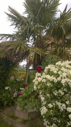 Bed & Breakfast Le Millenium