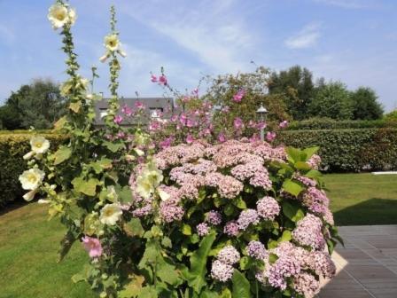 Bed & Breakfast Le Millenium