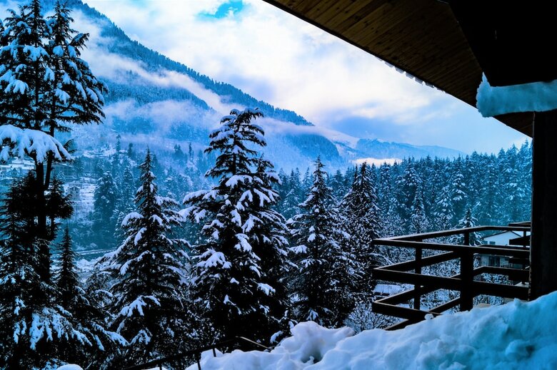 Hotel Alt Life Manali