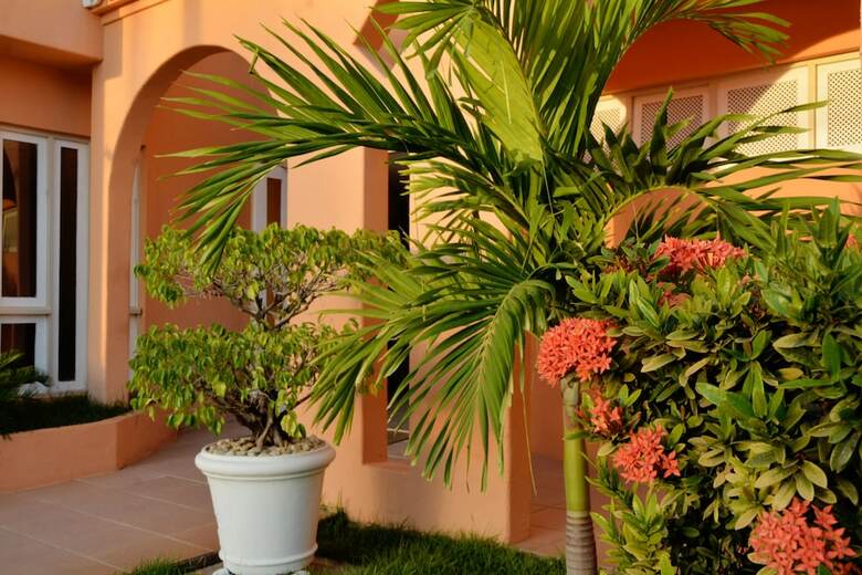 Hotel Terra Do Sol