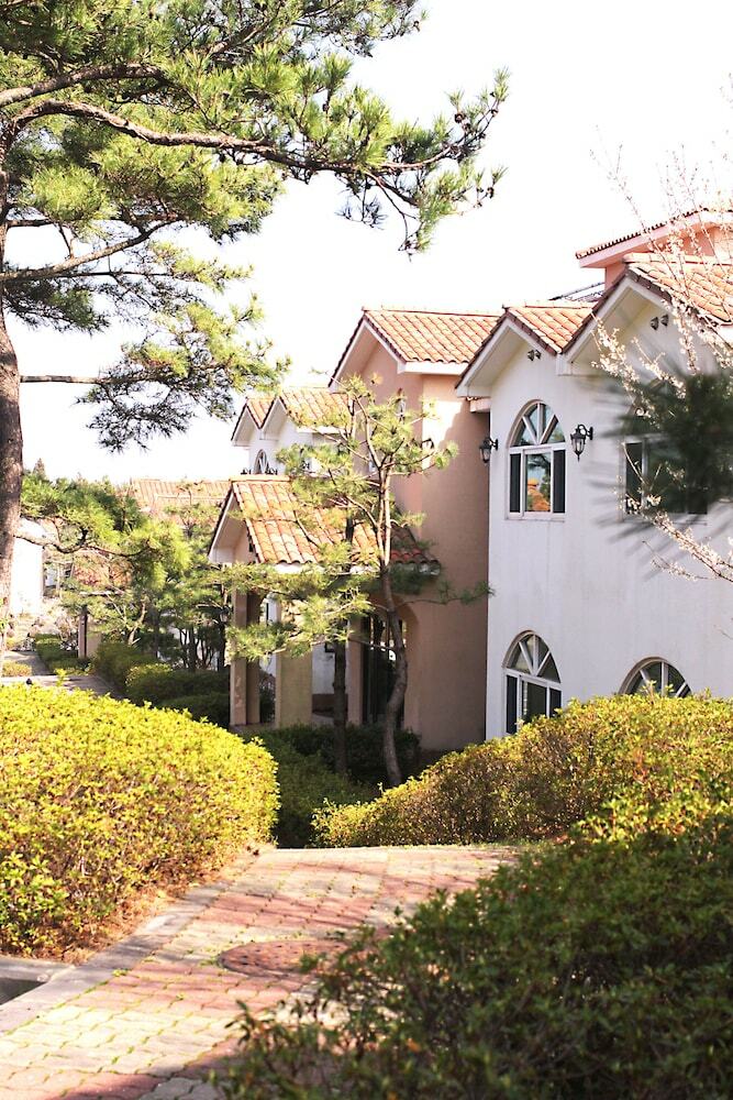 Apartamento Springdale
