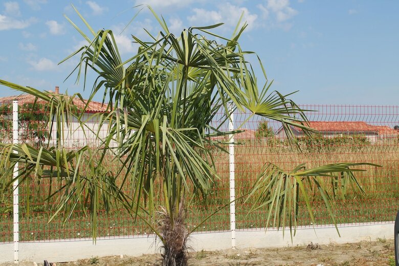 Hotel La Garona