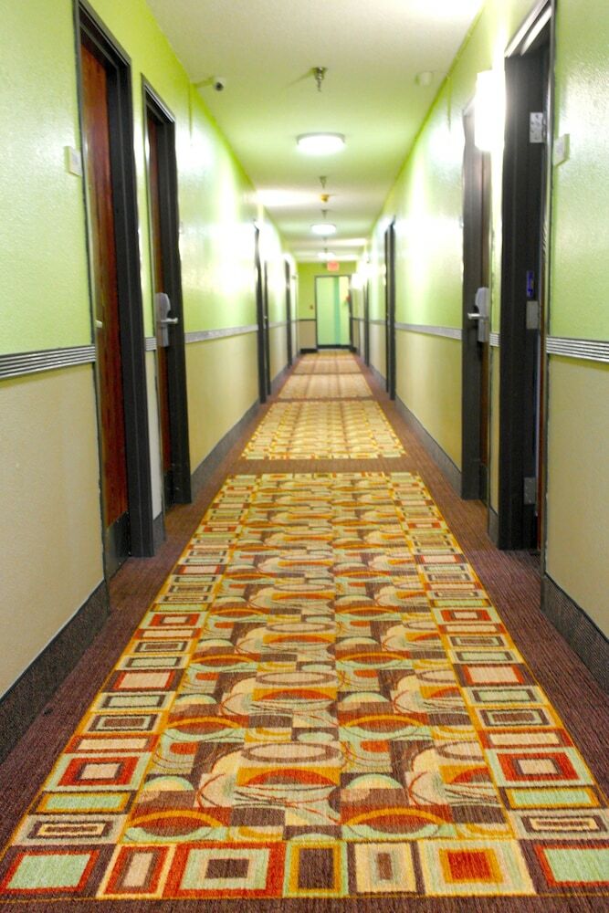 Hotel Super 8 By Wyndham Chesapeake/portsmouth