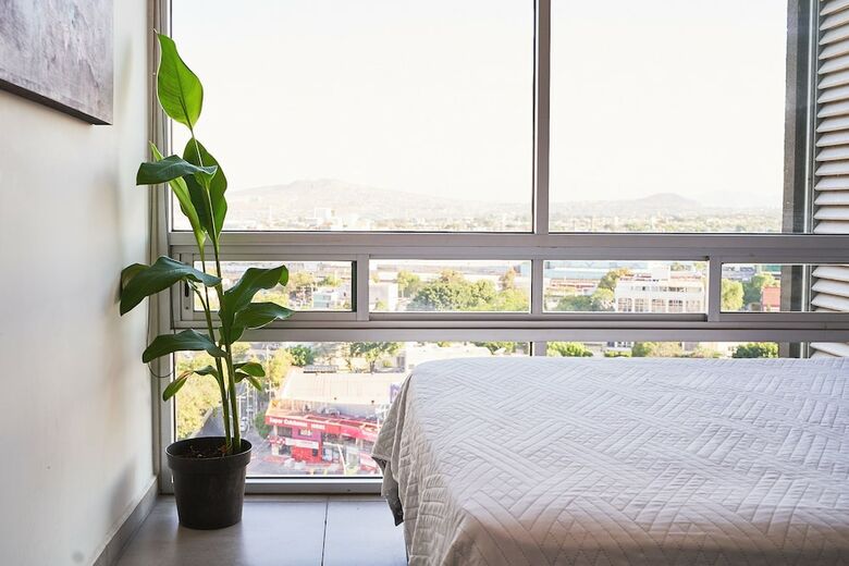 Apartamentos Dodo Horizontes Chapultepec