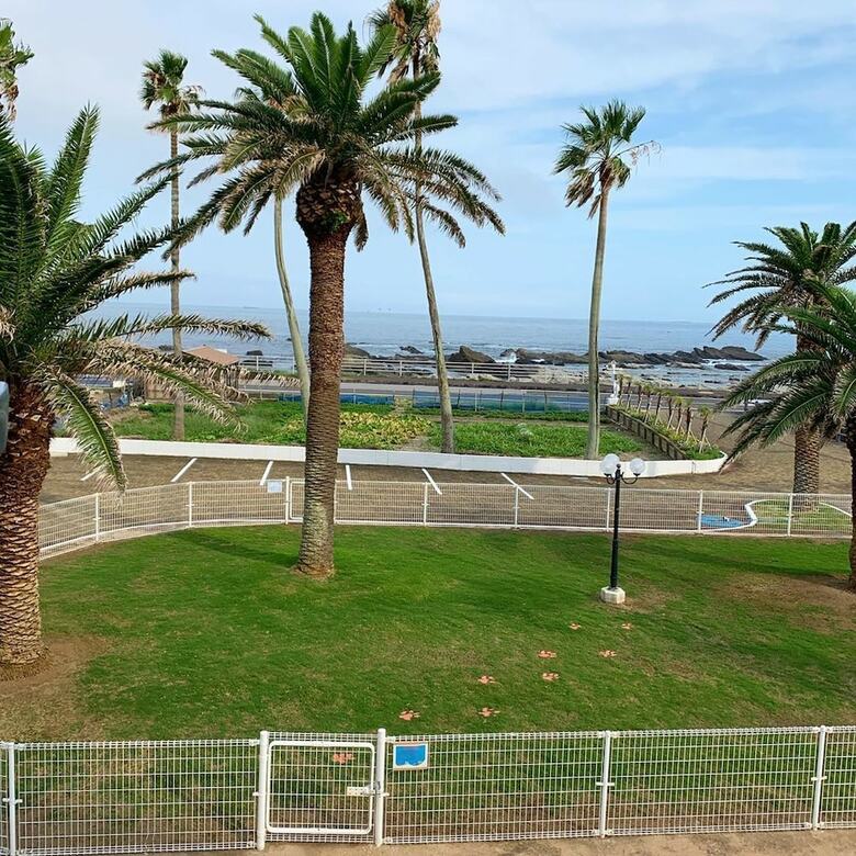 Hotel Marine Blue Where You Can Stay With Dogs