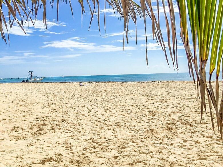 Apartamentos La Vista Condo Beachside