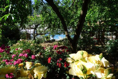 Hotel H�tel Du Lion D'or