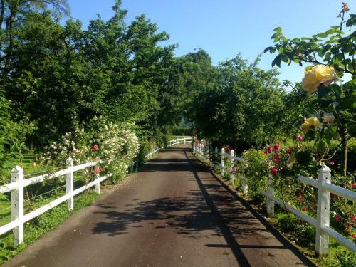 G�te Du Moulin Du Vey