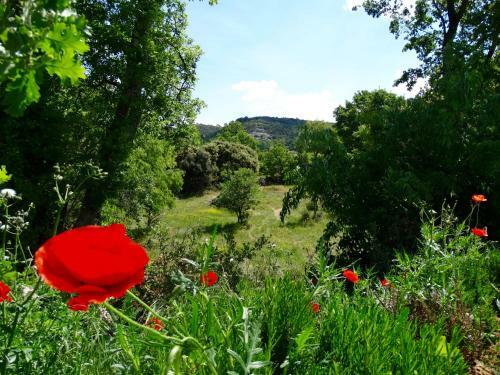 Bed & Breakfast Une Sieste En Luberon