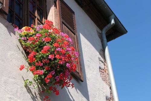 Hostal S'harzala