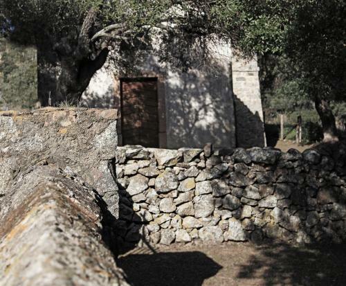 Aparthotel Residenza L 'alivetu