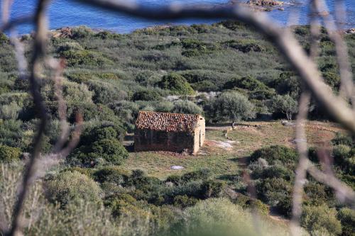 Aparthotel Residenza L 'alivetu