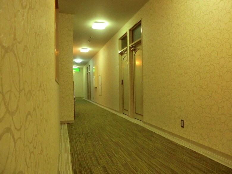Hotel Daisen White Palace