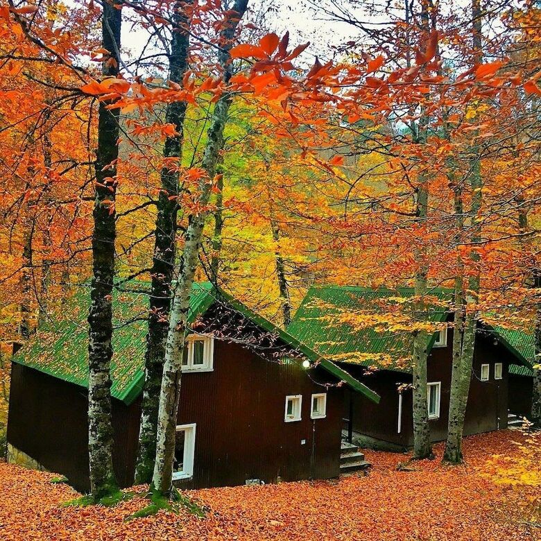 Cabana Habitat Mesire Evleri