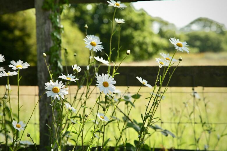 Hazelhurst Farm