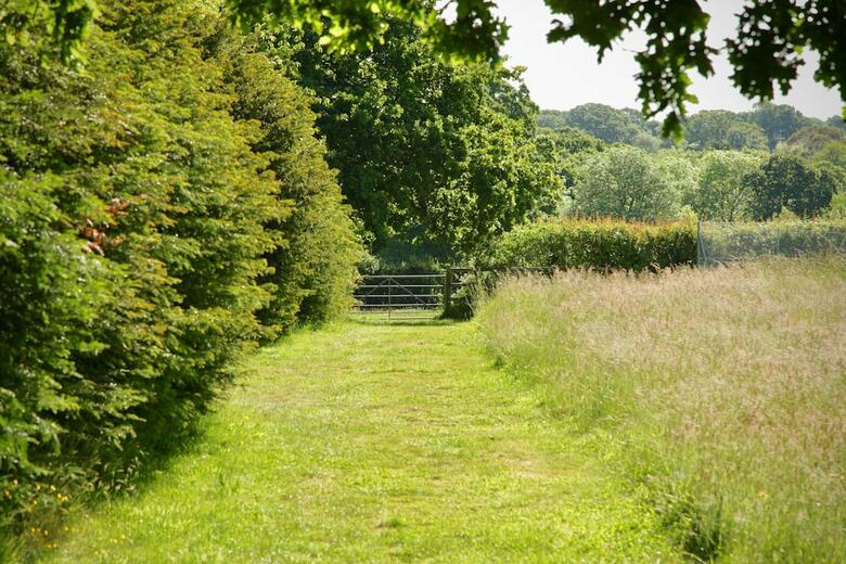 Hazelhurst Farm