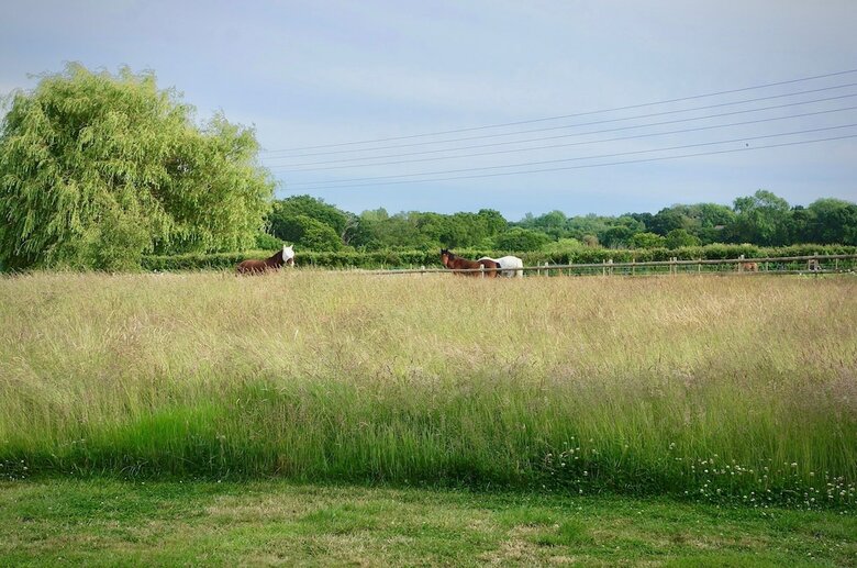 Hazelhurst Farm