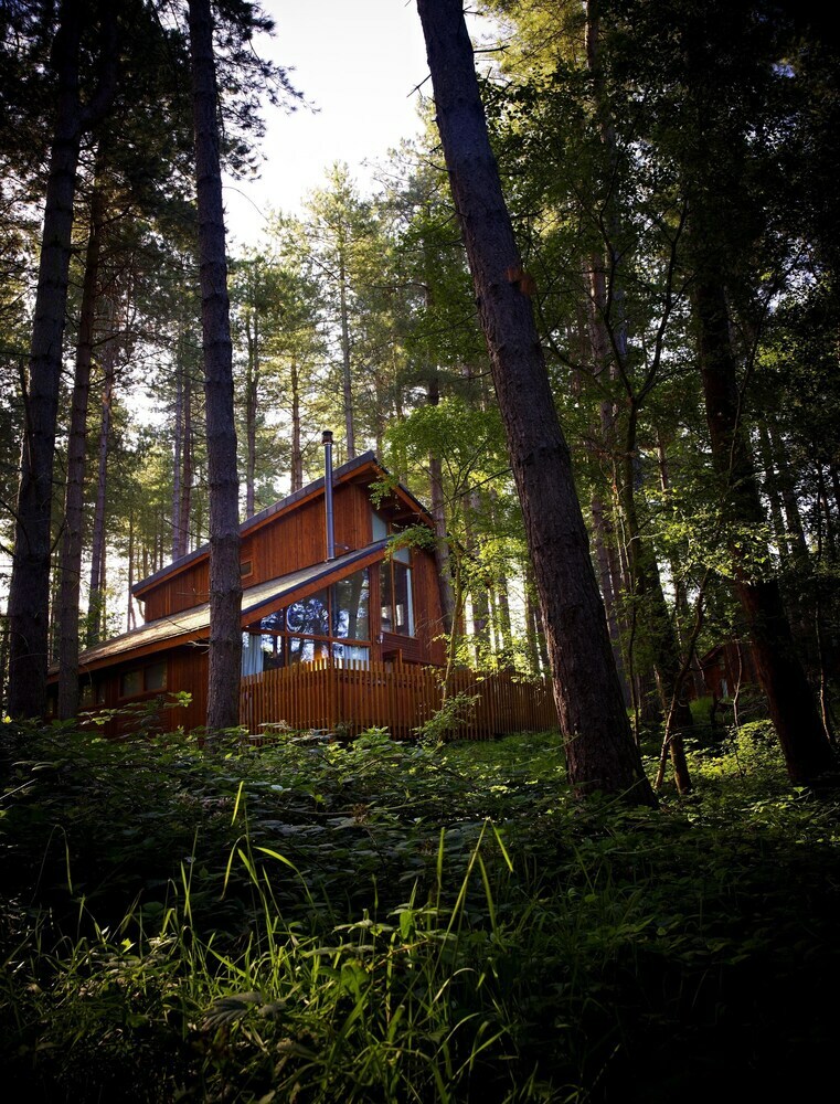 Forest Holidays Sherwood Forest