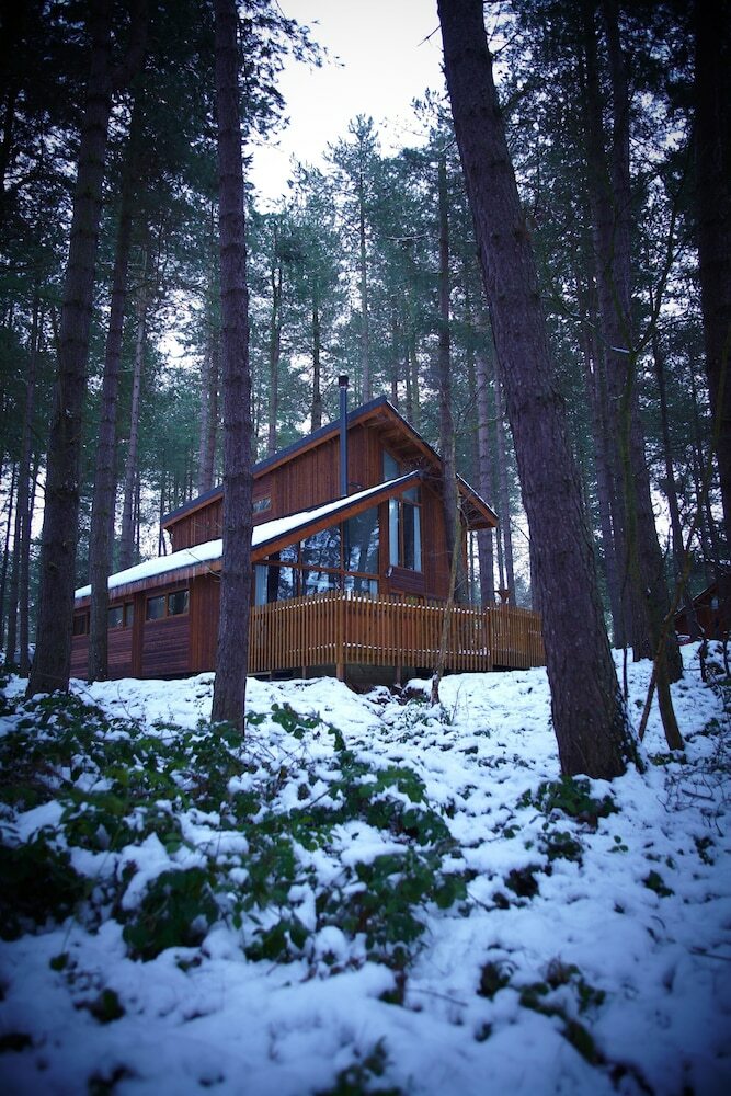 Forest Holidays Sherwood Forest