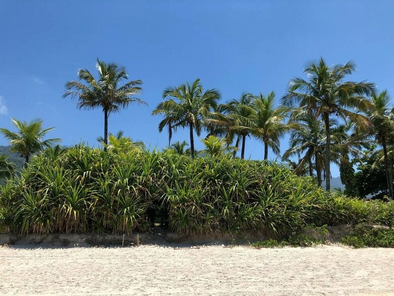 Maresias, Luxo E Estilo � Beira-mar