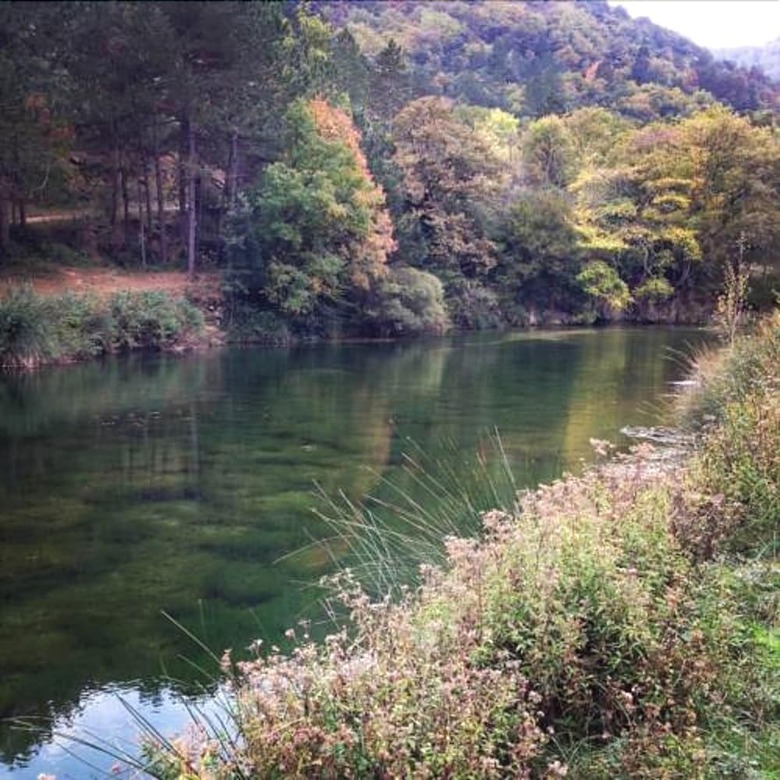 Gite In The Heart Of Corbi�res