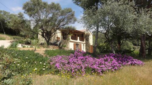 Apartamento R�sidence Les Mandiles