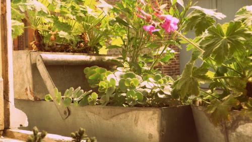 G�te Le Puits Sal�