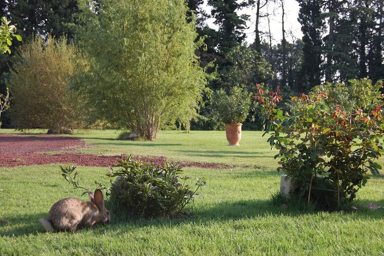Bed & Breakfast Mas de La Respelido