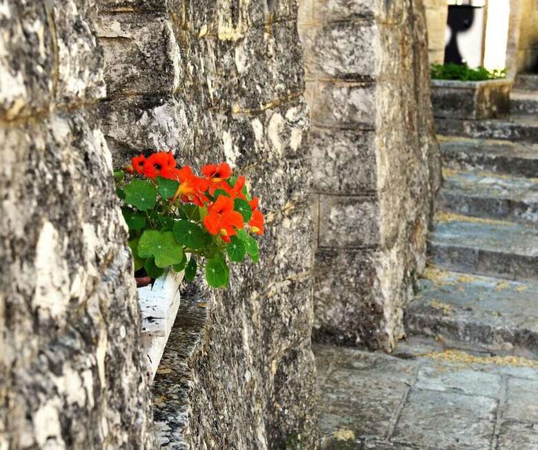Bed & Breakfast Villa Pesce