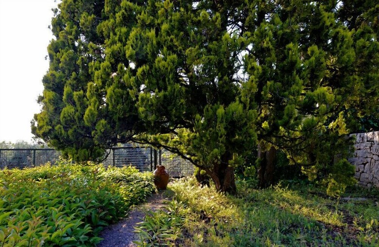 Bed & Breakfast Villa Pesce