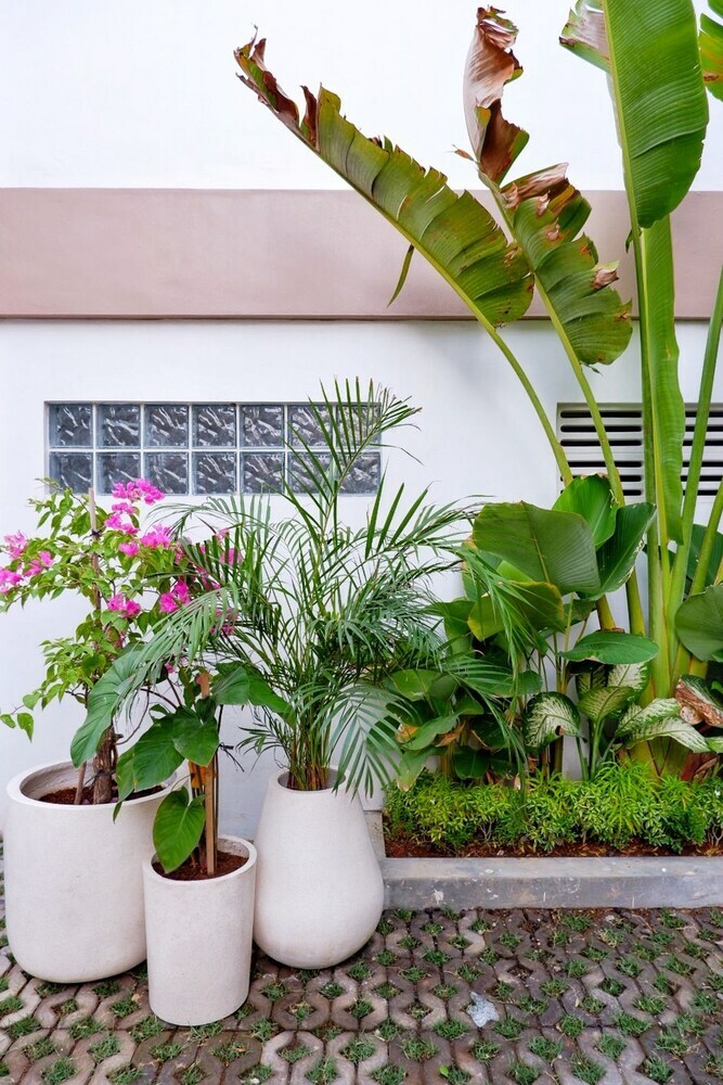 Hotel The Sloth Bali