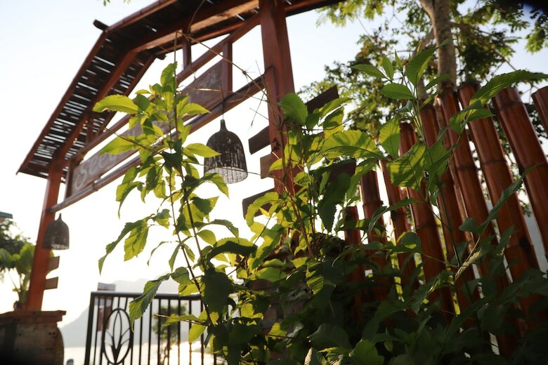 Hotel Phong Nha Friendly Home 2