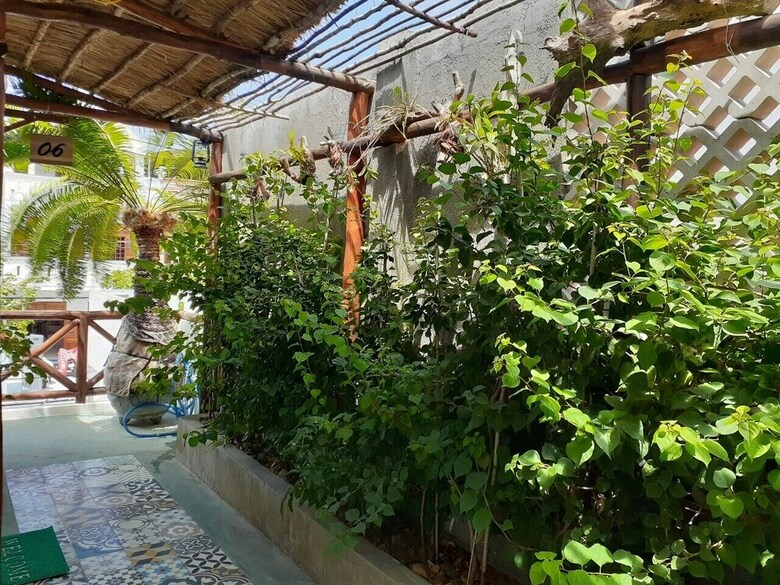 Hotel Long Homestay