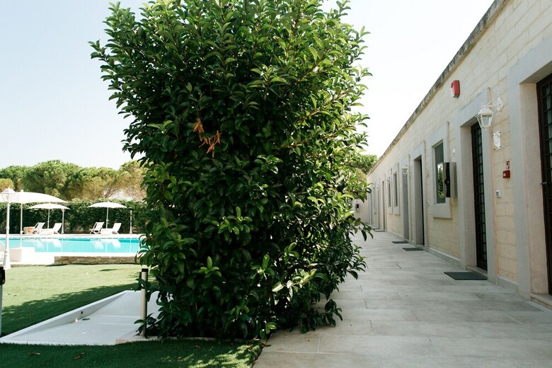 Bed & Breakfast San Marco Antico Relais