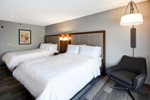 Hotel Holiday Inn Express & Suites Schererville