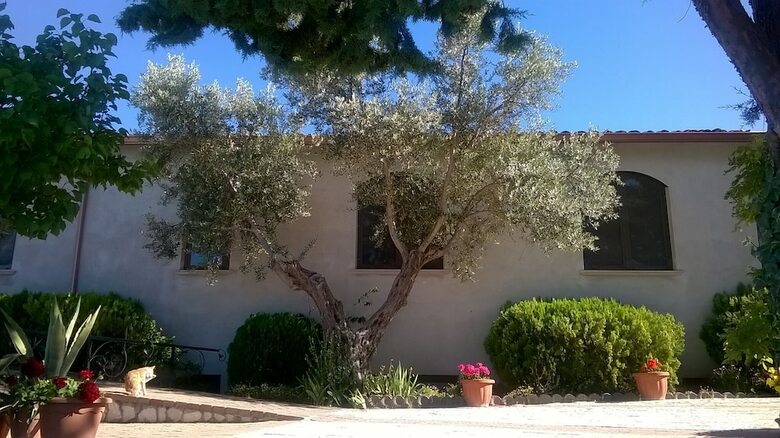 Bed & Breakfast Agriturismo Vemi