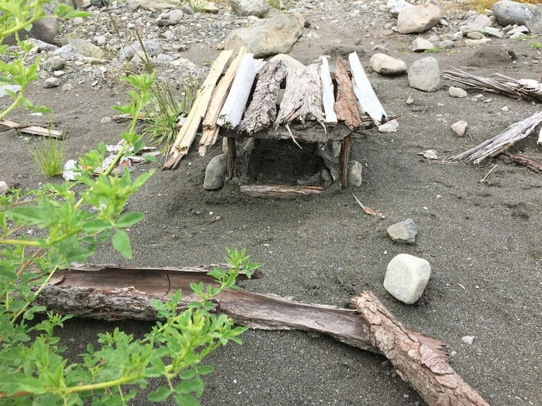 Mt. Baker Lodging Cabin 40 ? Pool Table, Sleeps 11! By Mbl
